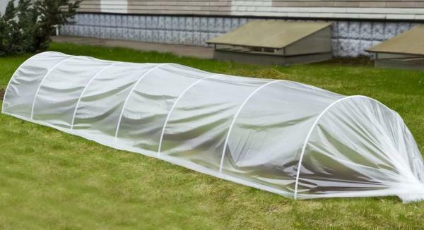 The tunnel greenhouse tunnel is perfect for growing vegetables for own consumption
