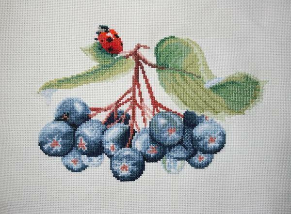 With this embroidered composition, you can decorate any tablecloth or pillow