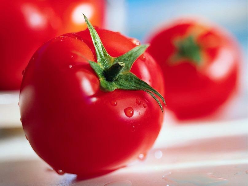 sementes de tomate deve ser escolhido cuidadosamente, dado que o rendimento depende dele para estufas