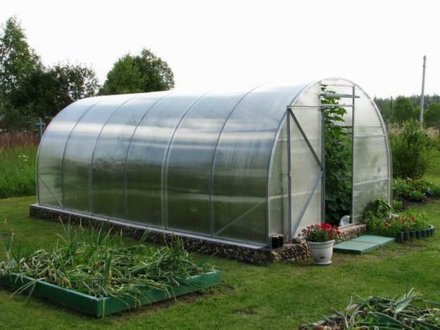 Popular and popular among gardeners are polycarbonate greenhouses 8 meters