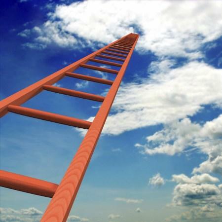 The ladder must be practical and of high quality, as it can be easily used both in everyday life and for repair