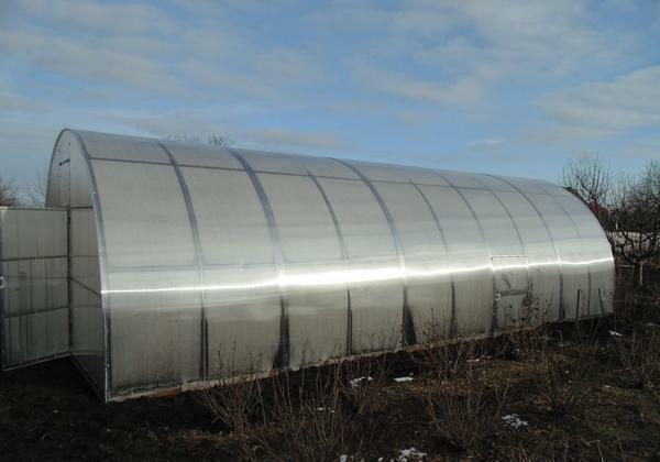 Farmer's greenhouses: year-round polycarbonate, 8 meters by 20, we make a large winter frame