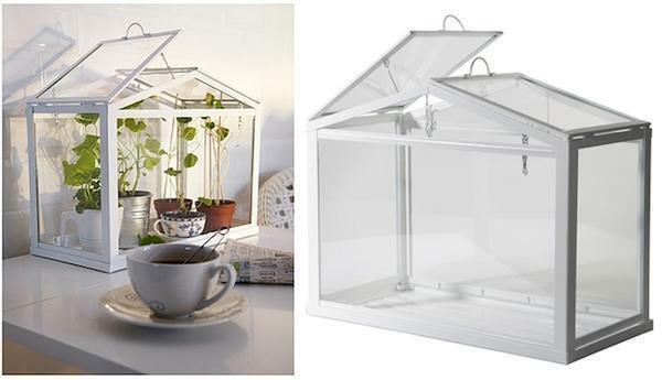 Home greenhouse is quite easy to create with your own hands