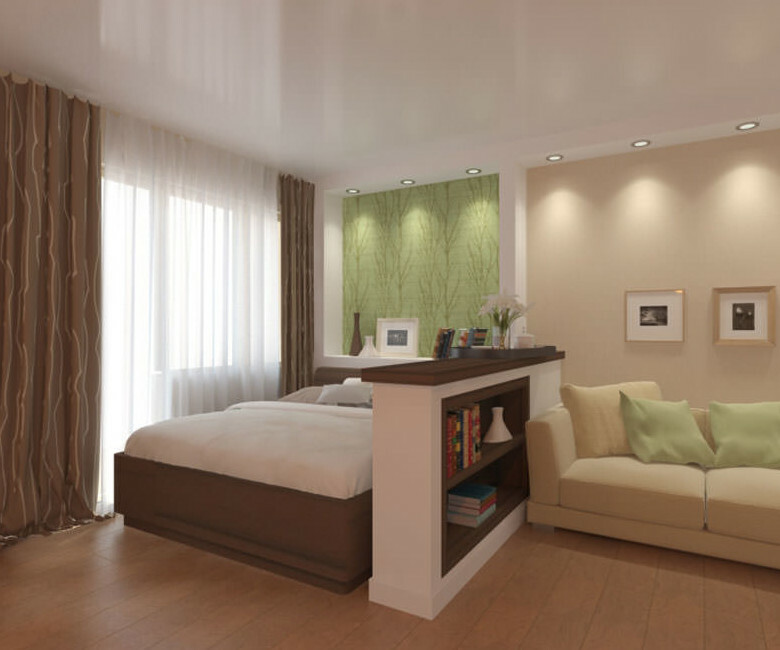 Living-bedroom: zoning, interior design, user registration, video and photos