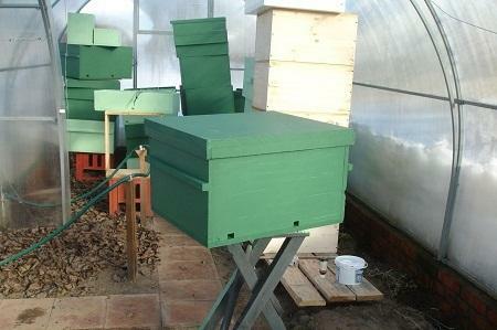 Das Gewächshaus ist ein geeigneter Ort für die Überwinterung Bienen
