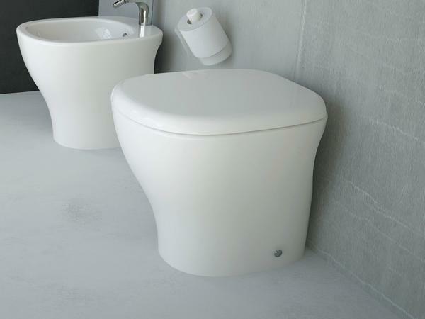 An excellent solution is to buy a toilet made of ceramics