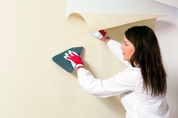 Remove wallpaper from gypsum cardboard with great care, so as not to damage the plasterboard surface