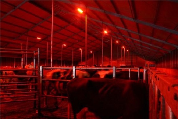Nočné osvetlenie stodoly
