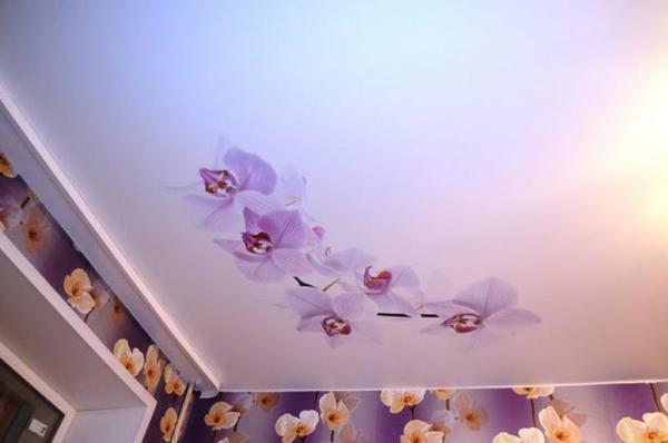 Stickers on the ceiling: vinyl and decorative, photo luminous and phosphoric