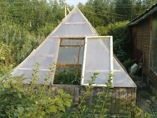 Pyramidal greenhouses have steep vaults, on which no precipitation