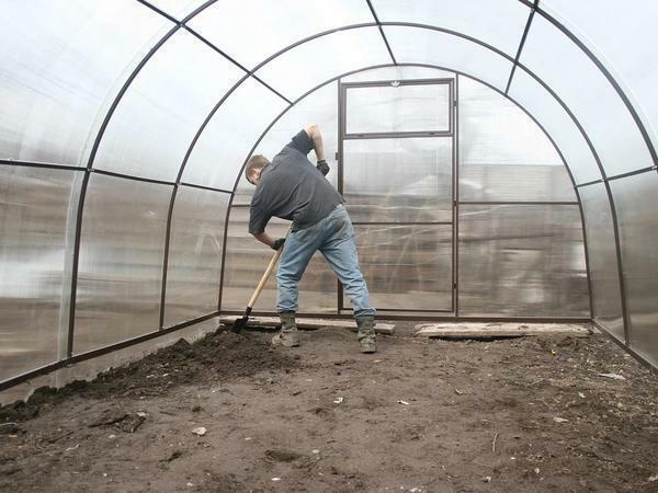 Treatment of greenhouses: polycarbonate and harvesting, planting the beam with phytosporin, cleaning up to winter, lime and manganese