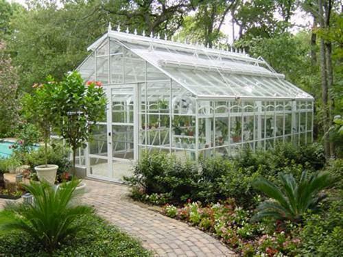 English greenhouses have more transparency( which polycarbonate can not offer), which ensures the growth and excellent development of plants