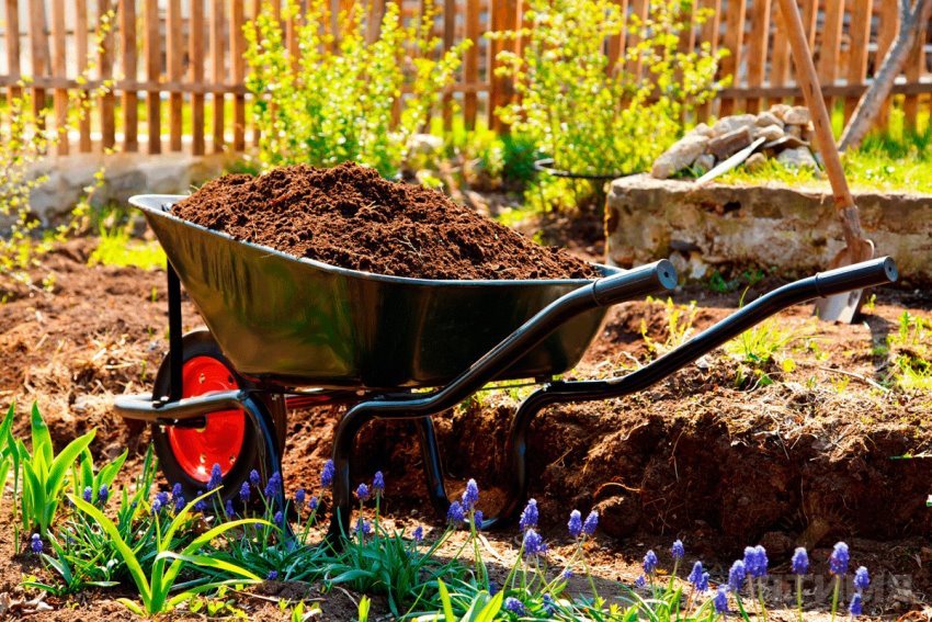 Jos maaperä työmaalla ei ole kovin hyvä laatu sängyt hyödyntää paremmin osto maaperän