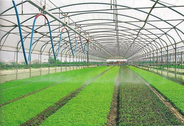 Auto-watering in the greenhouse substantially simplifies the process of growing vegetable crops