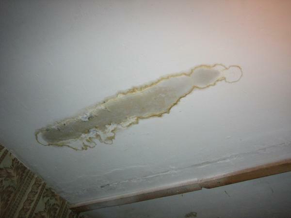 Fungo sul soffitto del bagno per liberarsi: muffa e come trattare con essa in un appartamento, come rimuovere se coperto, sala per trattamenti e la rimozione di solfato di rame