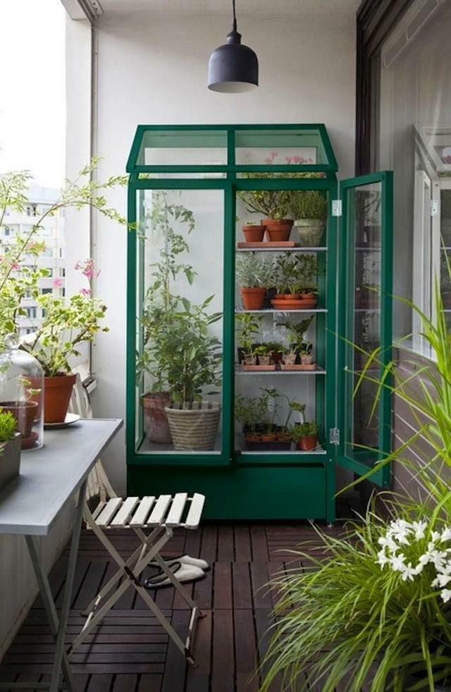 The greenhouse on the balcony can be an excellent option for the gardener