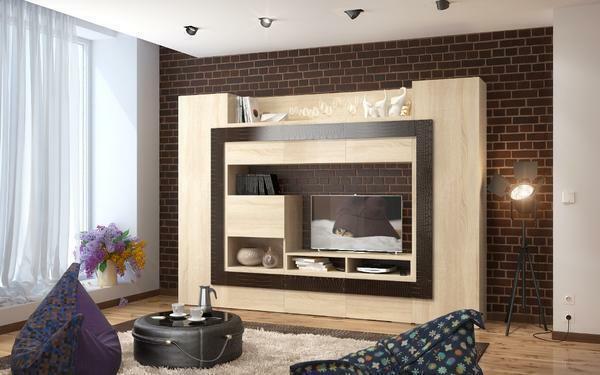 Choosing a practical closet for the living room, you should consider the size, features and interior of the room