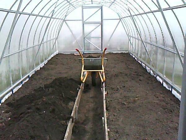 The greenhouse is a closed space in which it is possible to successfully regulate the temperature regime