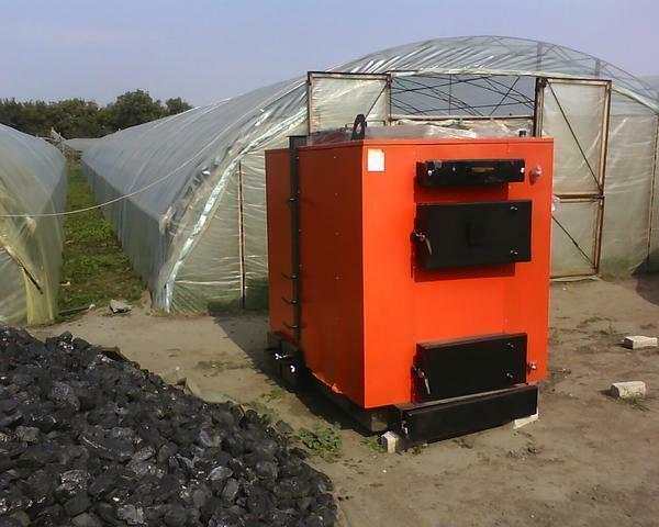 The boiler for greenhouses is that equipment which will allow to receive a good crop even in severe frosts