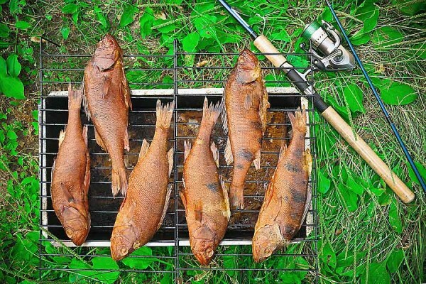 Smoked fish on a fishing trip with his own hands.