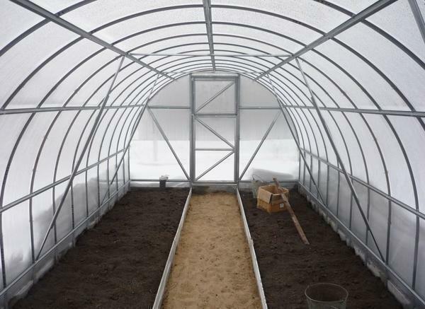 At arbejde i et drivhus i efteråret: hvordan man kan sætte sennep, hvordan man kan plante og gøre dyrkning, høst og gøde jorden