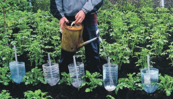 Watering in a glasshouse of plastic bottles: drip bottles, hands, video to help, bottle homemade