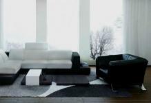 Black-and-white-living room0