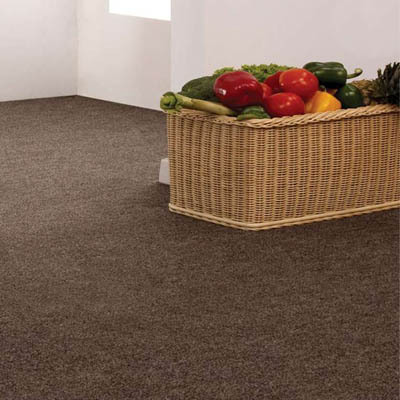 Carpeting in the kitchen