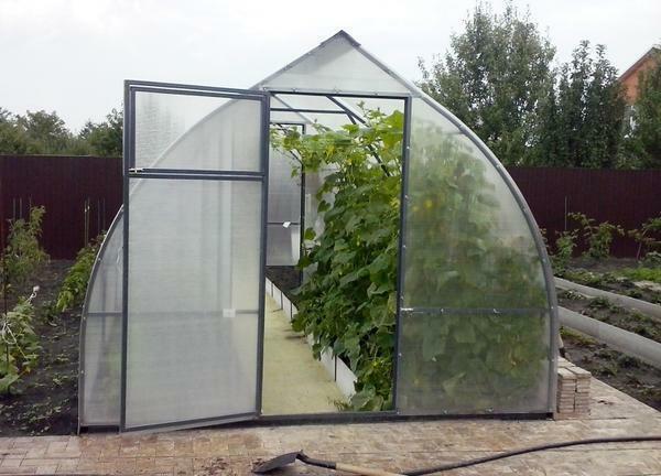 Drivhuse lavet af polycarbonat, herunder "Droplet" er det bedste køb for ejere af moderne haver