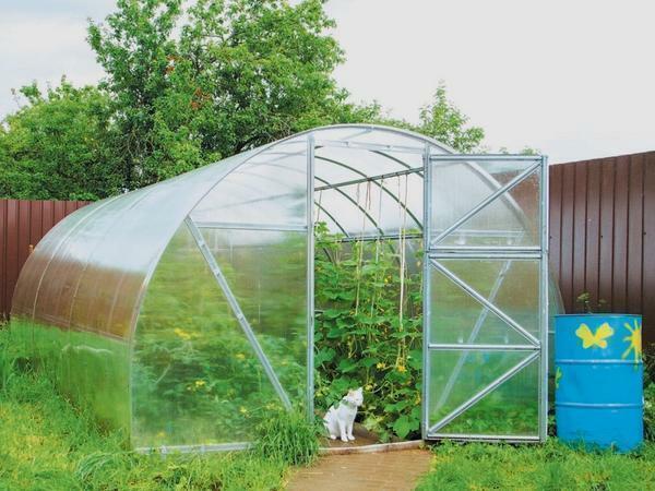 If the eco-greenhouse made of polycarbonate is equipped with heating equipment, then it can be used in winter