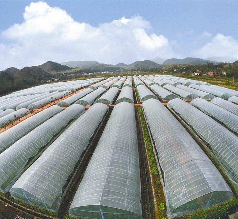 Back in the 50s of the last century, multi-profile greenhouses were successfully used in hothouse economy of the Soviet Union