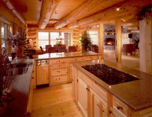 interior da cozinha em estilo moderno