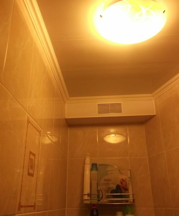 Toaletten av apparaterna i de flesta fall kan hittas bara en lampa