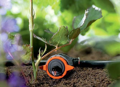 The principle of drip irrigation consists in the constant or prolonged arrival of moisture to the roots of plants
