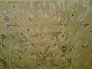plaster walls technique