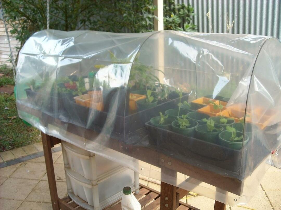 Small hotbeds are installed in the greenhouse, on the balcony, on the veranda where there is a need for creating a special microclimate