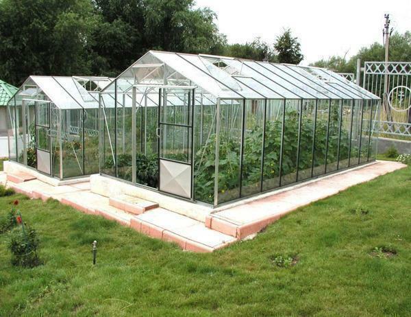 Frost-resistant greenhouses of the new generation: freezing in a glasshouse made of polycarbonate, coldly protecting seedlings and heating