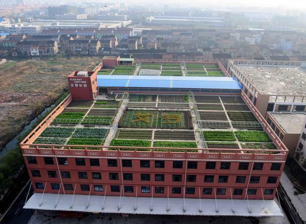 In Europe, the idea of ​​greenhouses on the roof of multi-storey houses has long been widespread