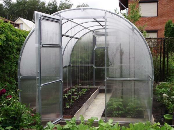 When installing a greenhouse it is important to consider the height of the plants that will be grown here