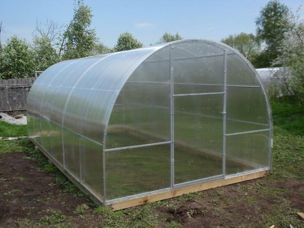 The "Premium" greenhouse is manufactured with reinforced cross-ties