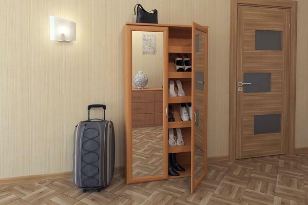 Not always beautiful and stylish galoshnitsy are an ideal place for storing shoes. They also have shortcomings