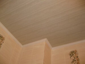 Le plafond des panneaux en PVC