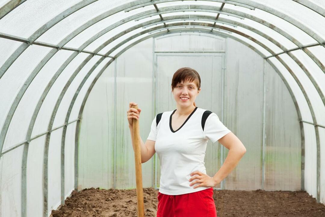 Preparing the greenhouse for the new season in spring: planting greens, work and video, polycarbonate for soil, which plant