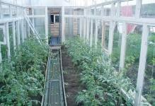 96295-greenhouses-out-window-frames-inexpensive