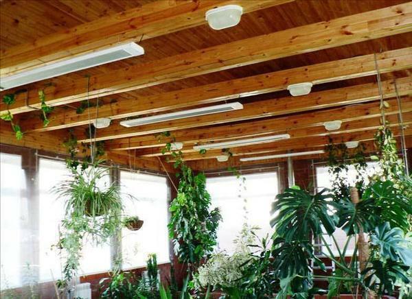 The most convenient are the ceiling infrared heaters for greenhouses
