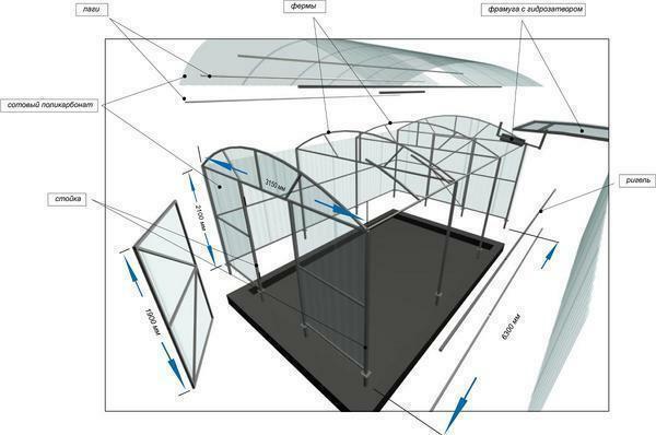 Siltumnīcas izgatavota no polikarbonāta ar rokām foto zīmējumiem: Siltumnīcas un izmēriem, kā padarīt video 3x6, ziemas lejupielāde
