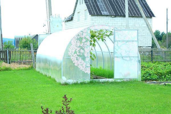 Siberian greenhouses made of polycarbonate have become extremely popular buildings among the inhabitants of this cold edge