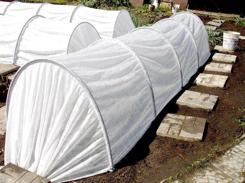 Dajas hotbed: mega reviews, luxury, buyers of greenhouses