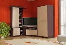 14172-wardrobes-on-order-moscow-inexpensive