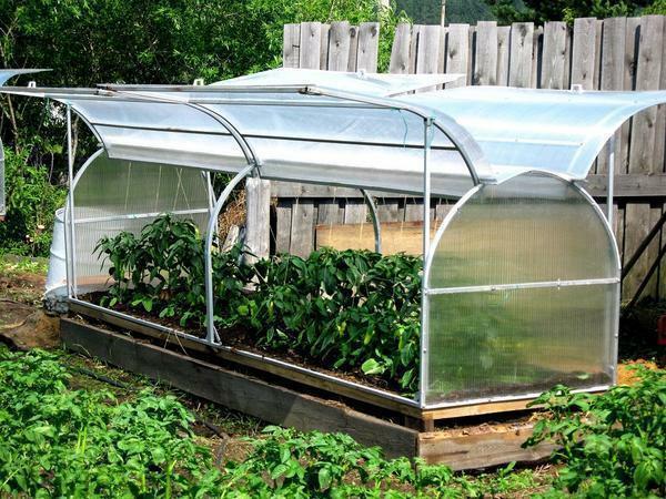 Greenhouse-shell kompakt és kis áron